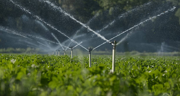 Realizzazione impianti irrigazione Palermo